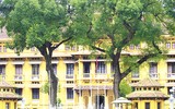 Cơ quan, công sở ở Hà Nội treo cờ rủ ngày Quốc tang Chủ tịch nước Trần Đại Quang